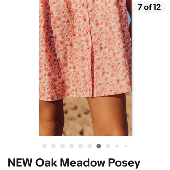Oak Meadow Strawberry Kiss Posey Dress size L - Picture 6 of 7